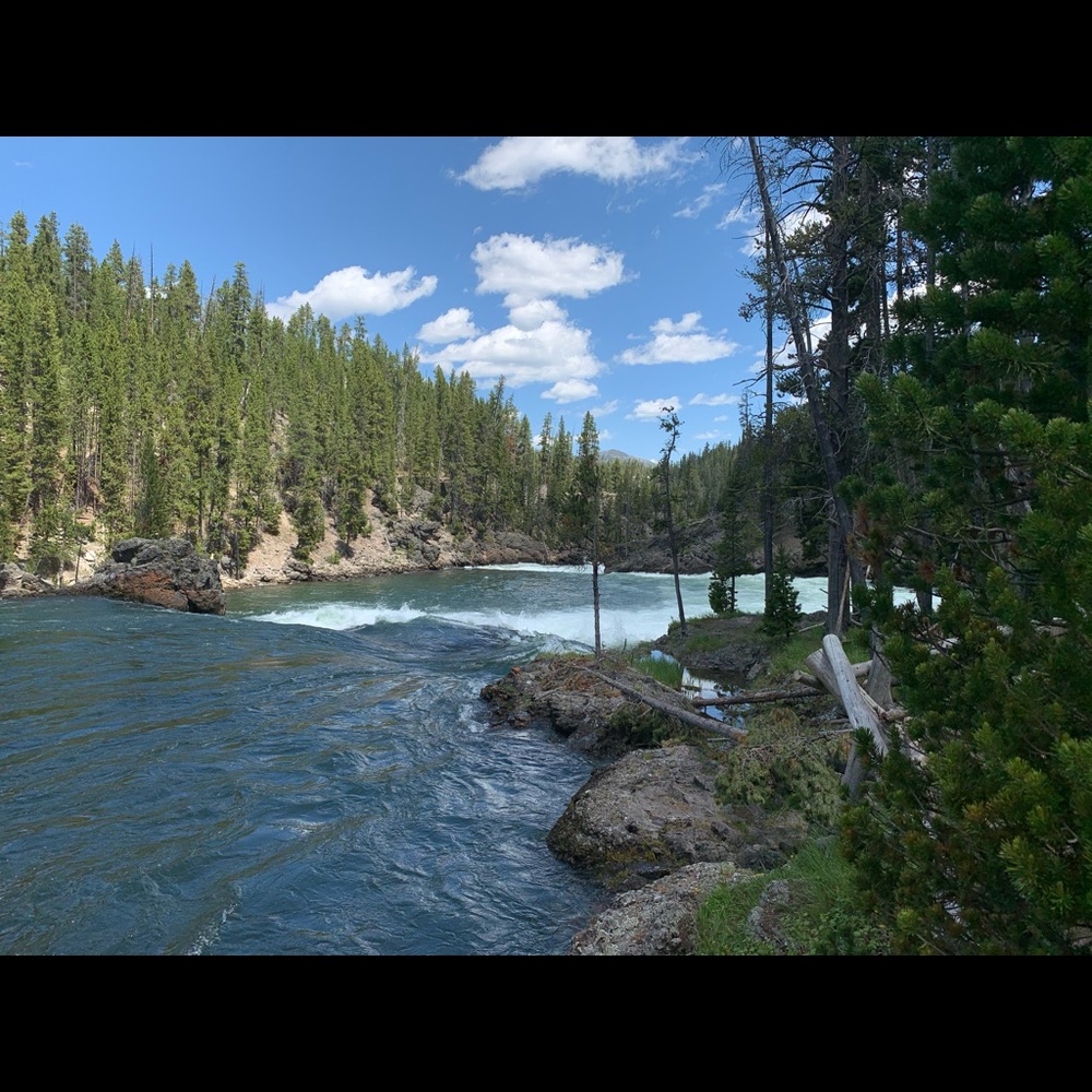 Meet your Posher, Taylor